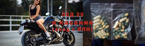 дживик Осинники