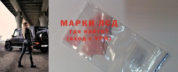 дживик Осинники