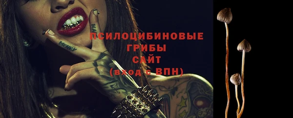 ECSTASY Абаза