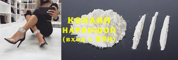 дживик Осинники
