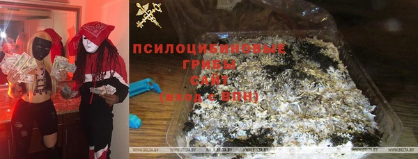 трава Белая Калитва