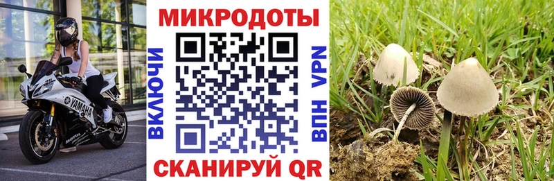 Галлюциногенные грибы мицелий Кириллов